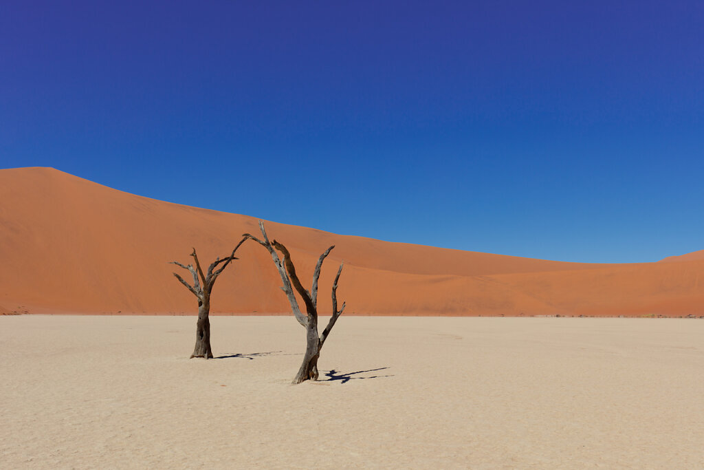 Deadvlei, Namibie