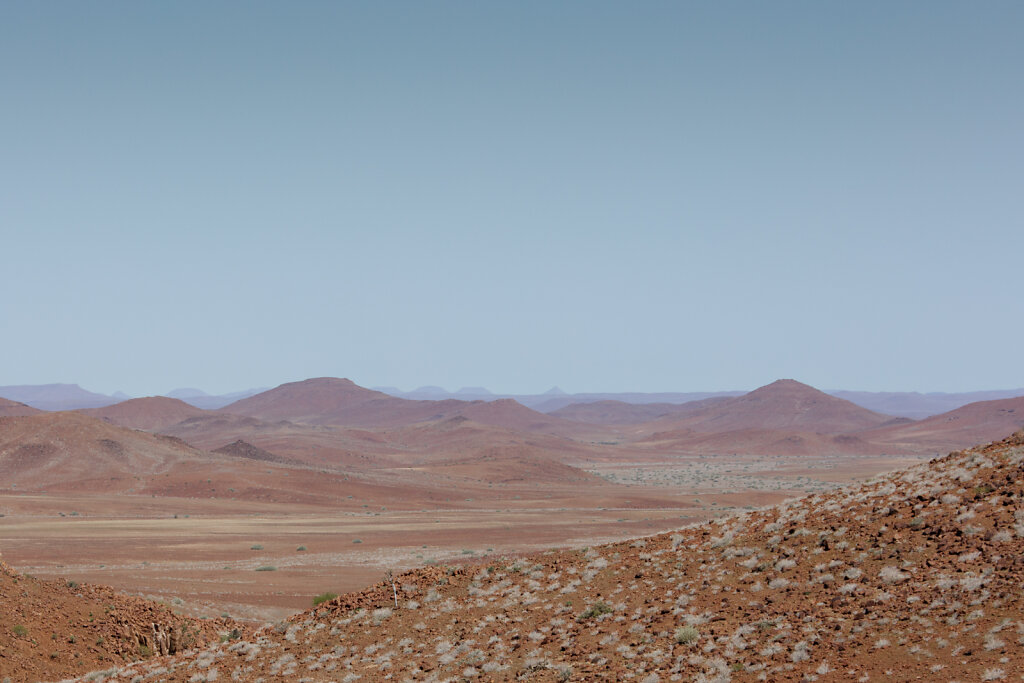 Concession de Palmwag, Namibie