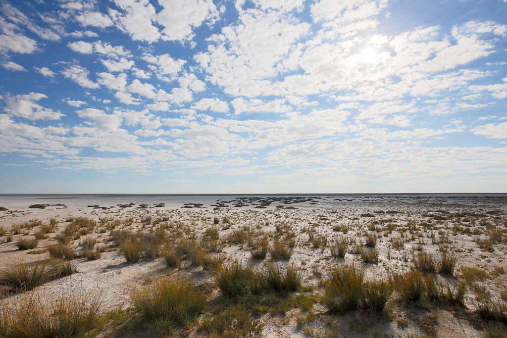 Pan d'Etosha, Namibie