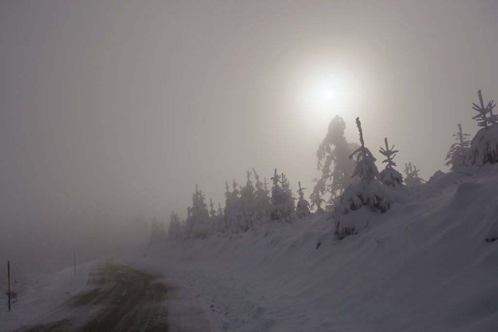 Col du Donon