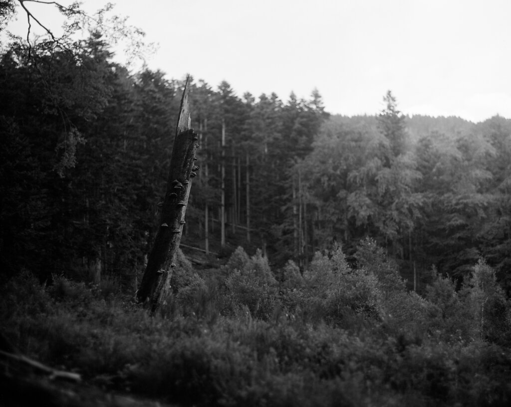 180625Image-006-Modifier.jpg